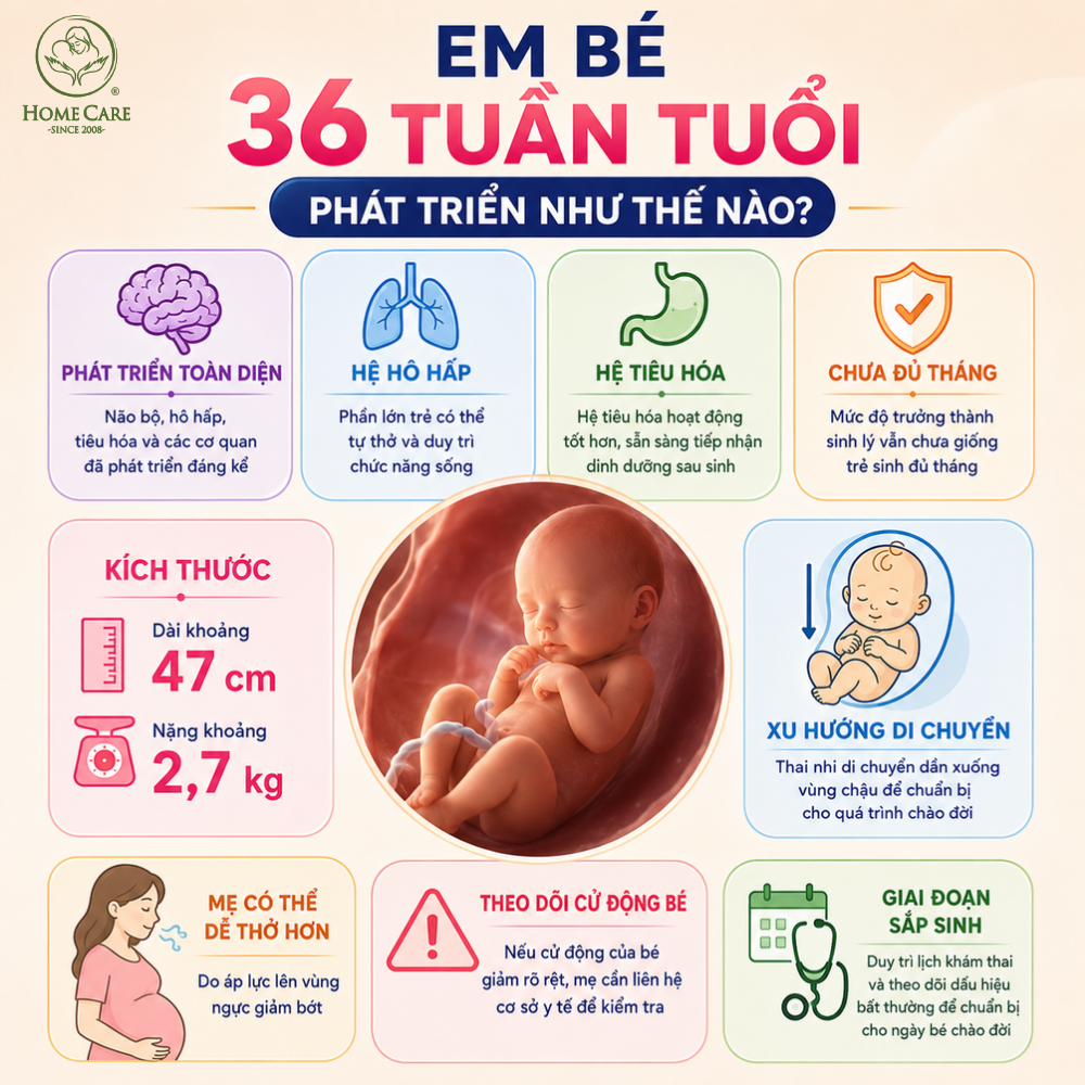 Em bé 36 tuần tuổi phát triển như thế nào?